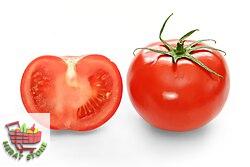 بانجون رومی 1کیلوگرم