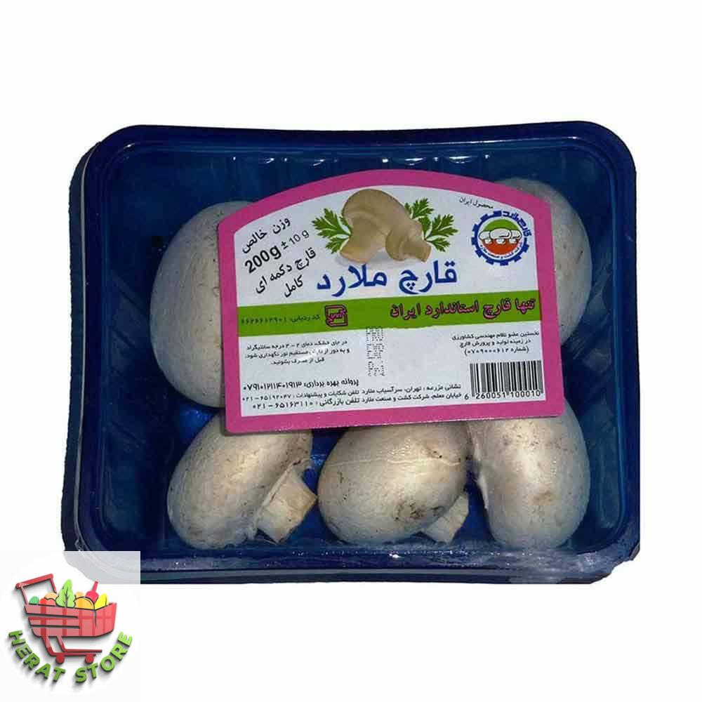 سیمارغ بسته