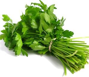 گشنیز دسته ای