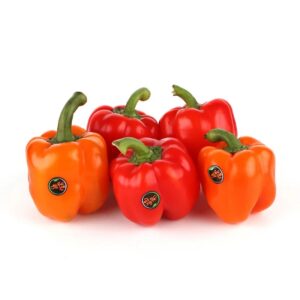 فلفل دلمهای ۱کیلوگرم