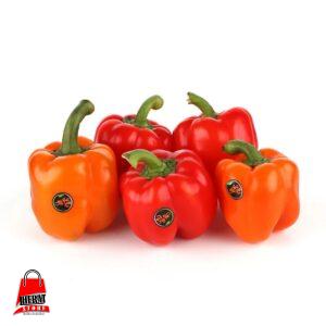 فلفل دلمهای ۱کیلوگرم