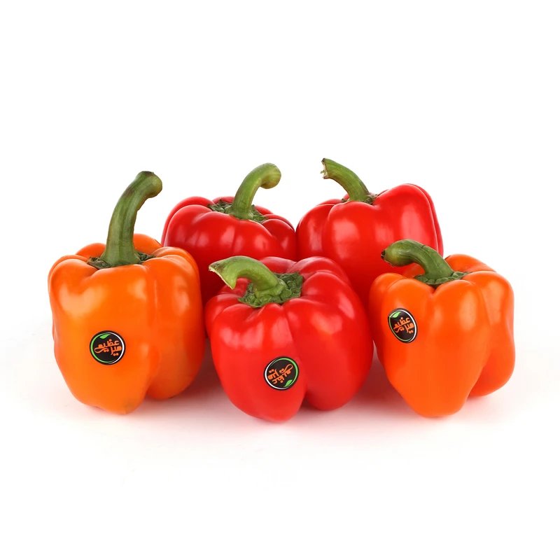 فلفل دلمه‌ای ۱کیلوگرم